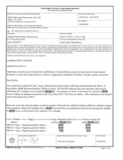 FDAzilla FDA 483 Galephar Pharmaceutical Research, Juncos | Oct 2018